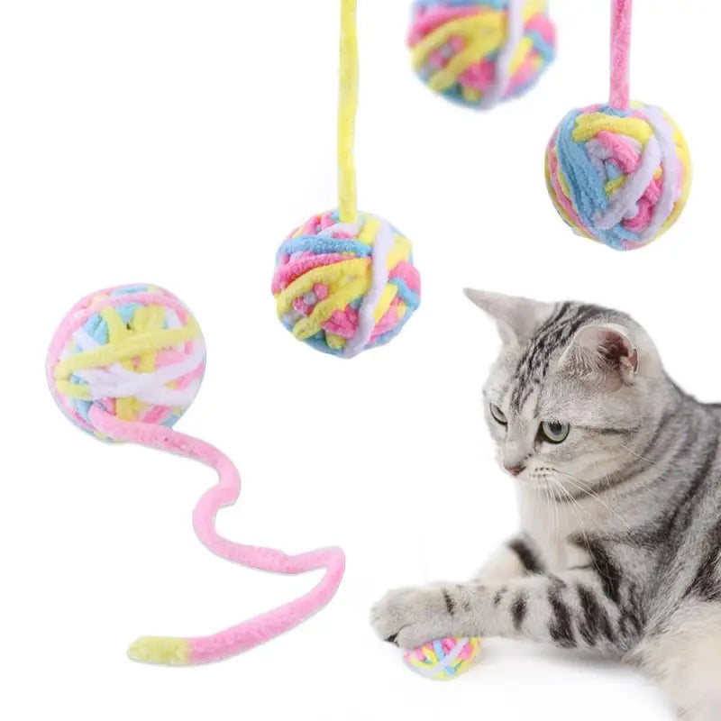 Balle interactive pour chat : Jouets à mâcher et à taquiner - Chat jouant avec une balle interactive