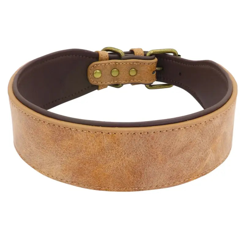 Collier pour Levrier