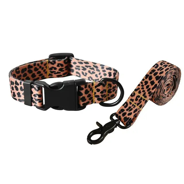 Collier pour Golden retriever