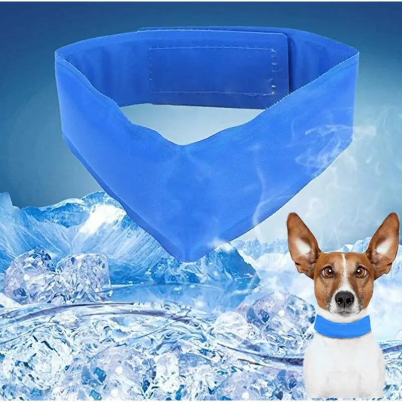 Collier rafraichissant pour chien