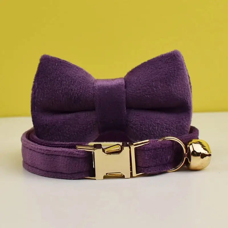Nœud papillon en velours violet avec boucle dorée sur collier de chat personnalisé en velours