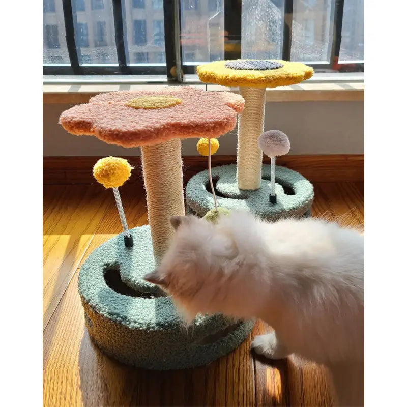 Le chat joue avec le griffoir - Un jouet amusant et utile pour votre animal de compagnie ajoute naturellement la touche amusante