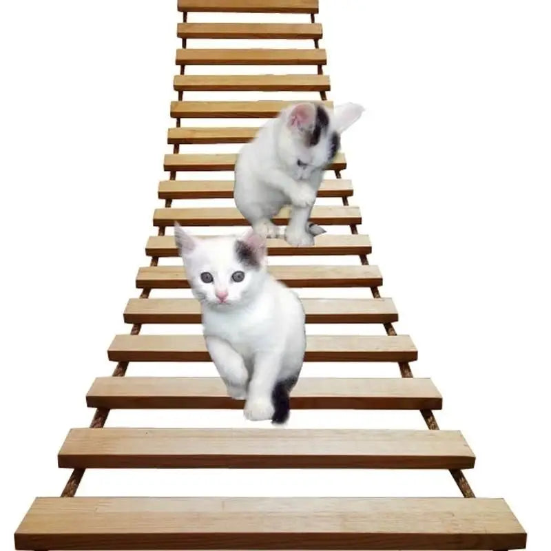 Deux chatons grimpant des escaliers sur Griffoir Mural d’activité - Vertical Activity Space