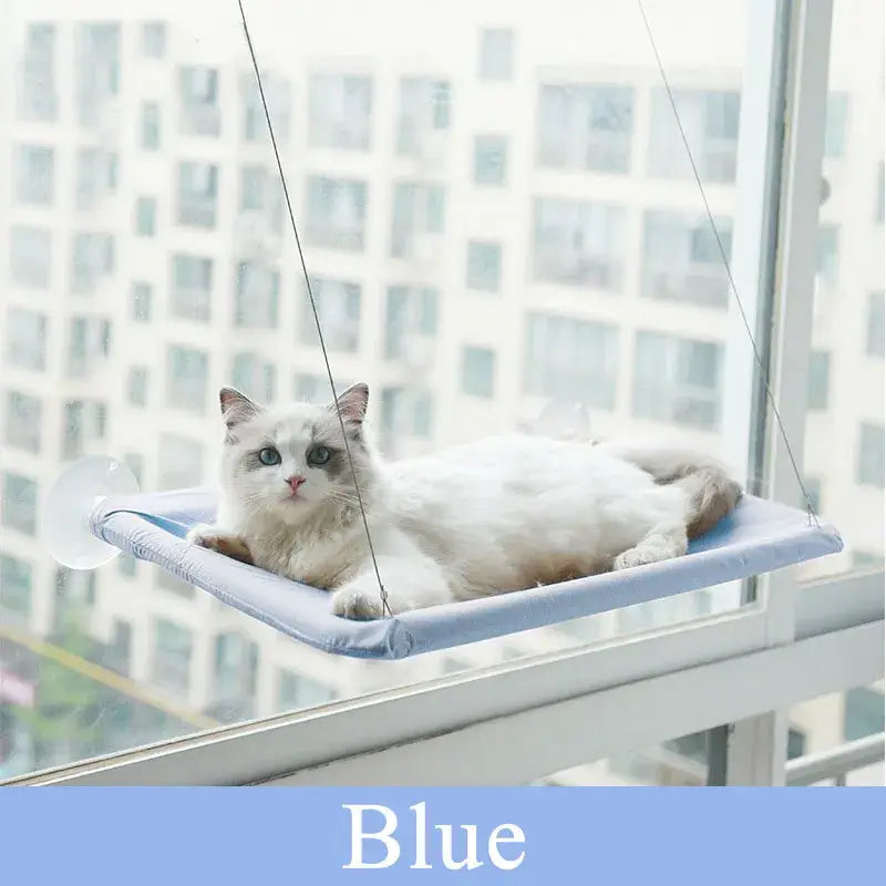 Chat se relaxant sur un lit bleu dans Hamac mural pour chats - Confort en hauteur, mural pour animaux heureux