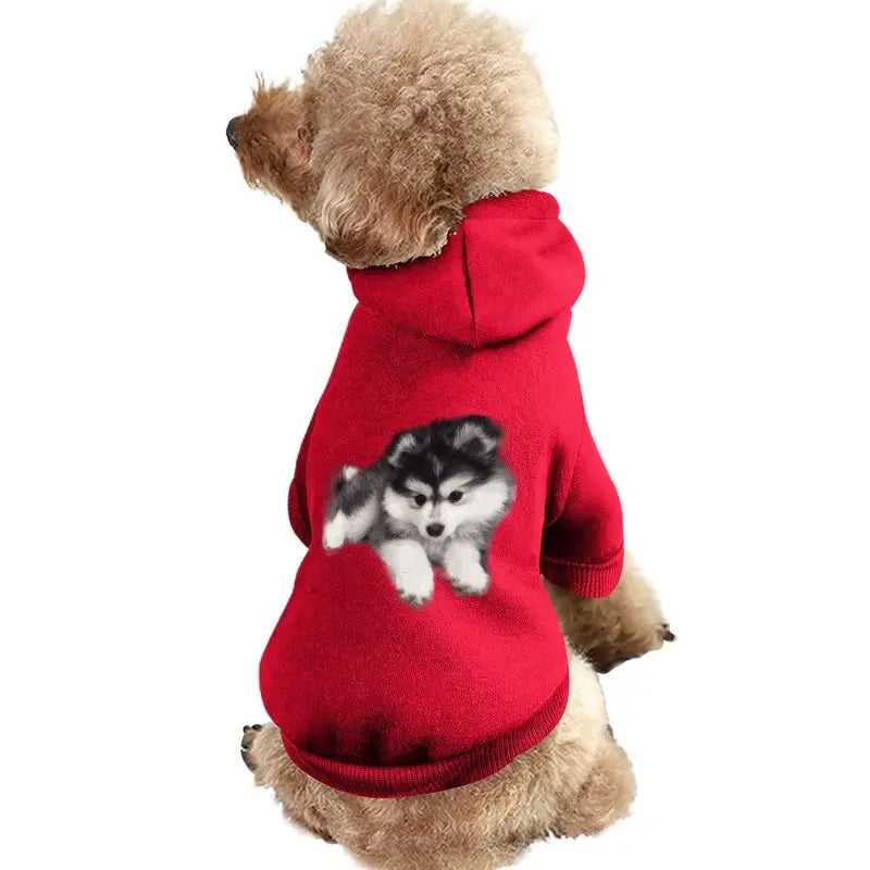 Chien en pull rouge et noir & blanc : Manteau chaud et respirant pour animaux de compagnie, parfait pour les saisons froides