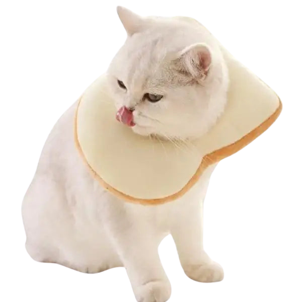 Chapeau pour Chat Cosplay Toast Transparent Background