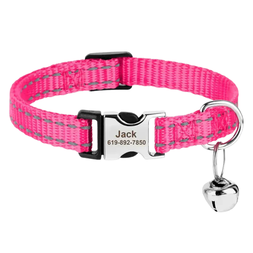 Collier réglable en nylon pour chat avec plaque argentée, design personnalisé rose Transparent Background