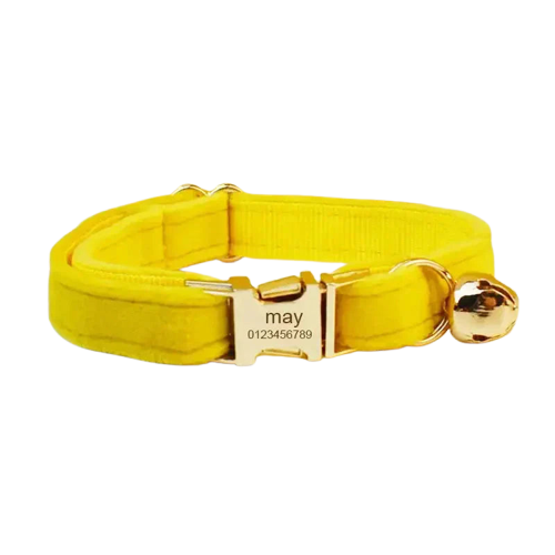 Animal collar en velours jaune avec boucle métallique - Collier personnalisé pour chat Transparent Background