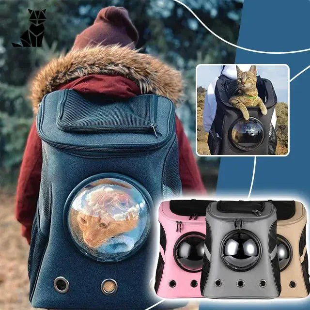 Sac à dos AstroBag Adventure : Gros plan sur un chat à l’intérieur, parfait pour les aventures à l’extérieur