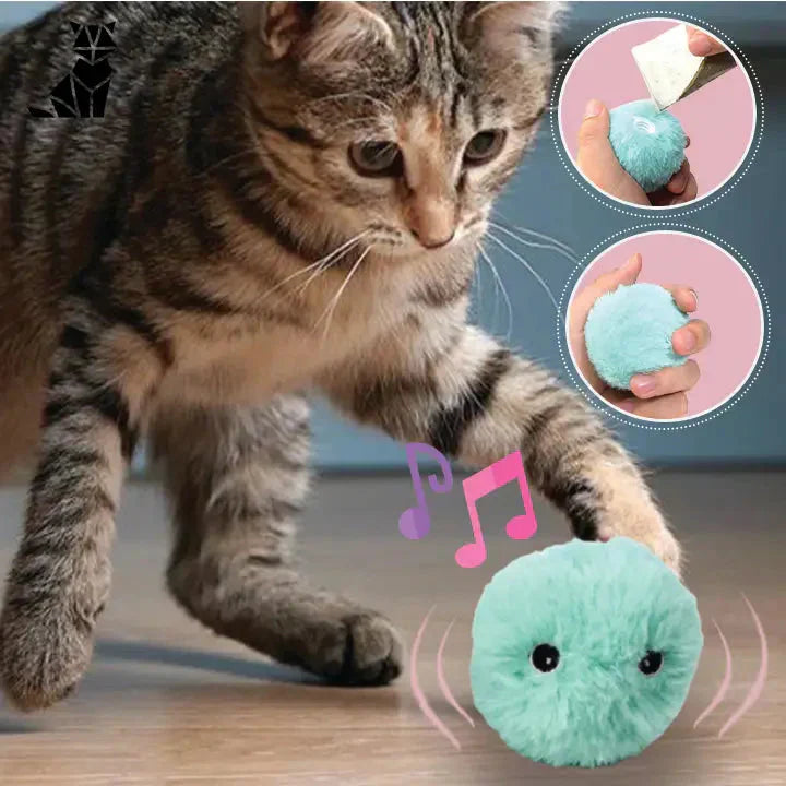 Chat jouant avec le jouet interactif CatBall sur le sol