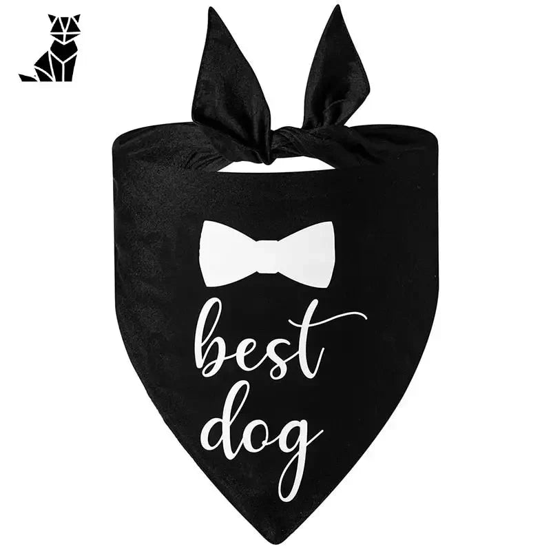 Bandana pour chien heureux chez PetZeal : Bandana noir avec nœud papillon et motifs ’Best Dog’