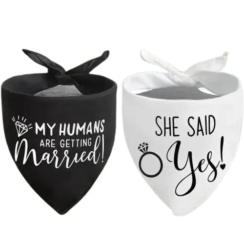 Boîtes en forme de cœur sur lesquelles on peut lire ’mes humains vont se marier’ par Happy Dog Bandana chez PetZeal Transparent Background