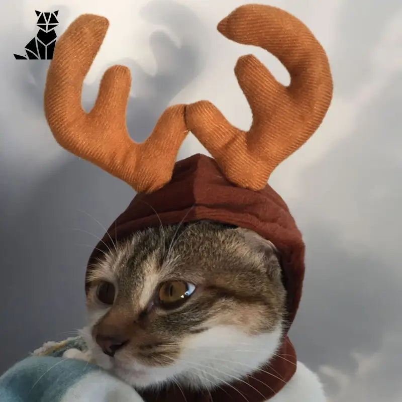 Bonnet pour Chat Renne de Noël