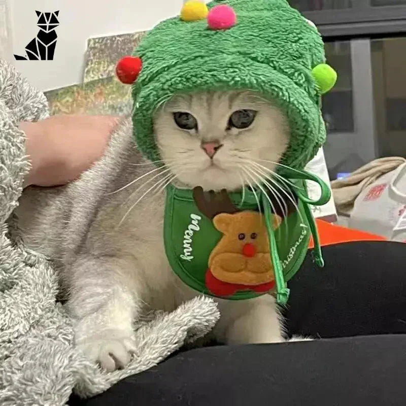 Chat avec un chapeau vert festif et un animal en peluche - Chapeau de Noël pour chat, style Père Noël