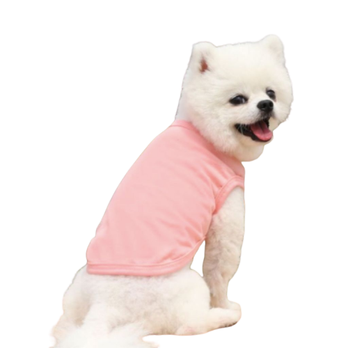 Gilet pour chien Transparent Background