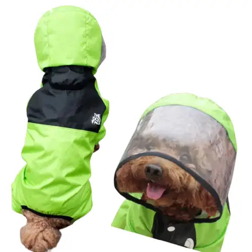 Chien portant un imperméable vert avec capuche transparente pour chiens - Protection optimale Transparent Background