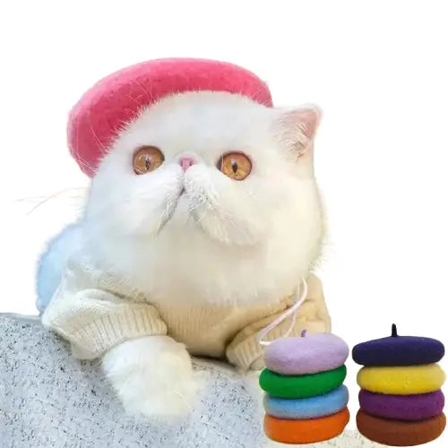 Chat blanc avec chapeau et pull rose - Élégant Chapeau béret pour chat Transparent Background
