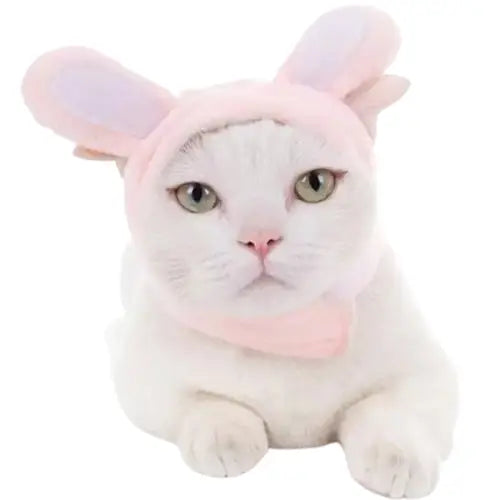 Bonnet pour Chat Oreilles de Lapinou Transparent Background