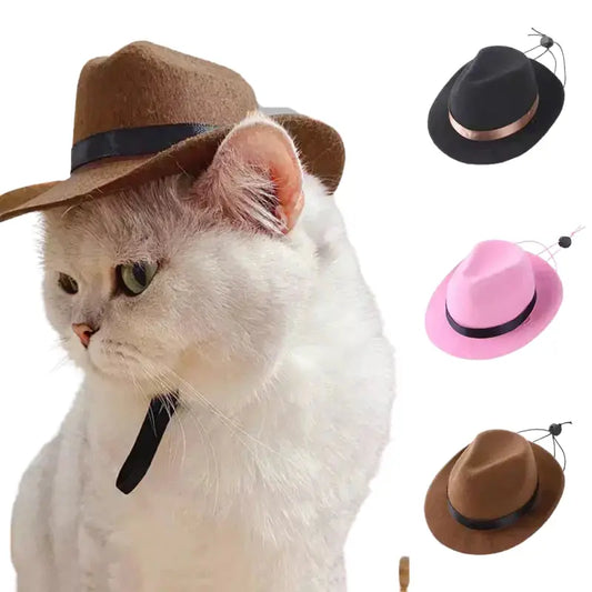 Chat portant un chapeau de cow-boy et une cravate, mettant en valeur le chapeau Fun Cowboy Hat for Animals Transparent Background
