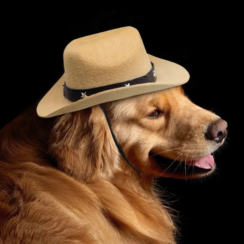 Chapeau pour Chien Cowboy Texan