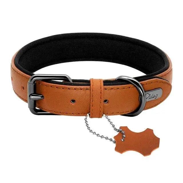 Collier En Cuir Pour Chien