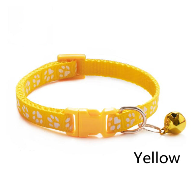 Collier coloré pour chat