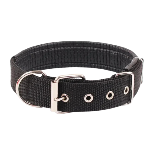 Collier pour Bulldog Anglais Transparent Background