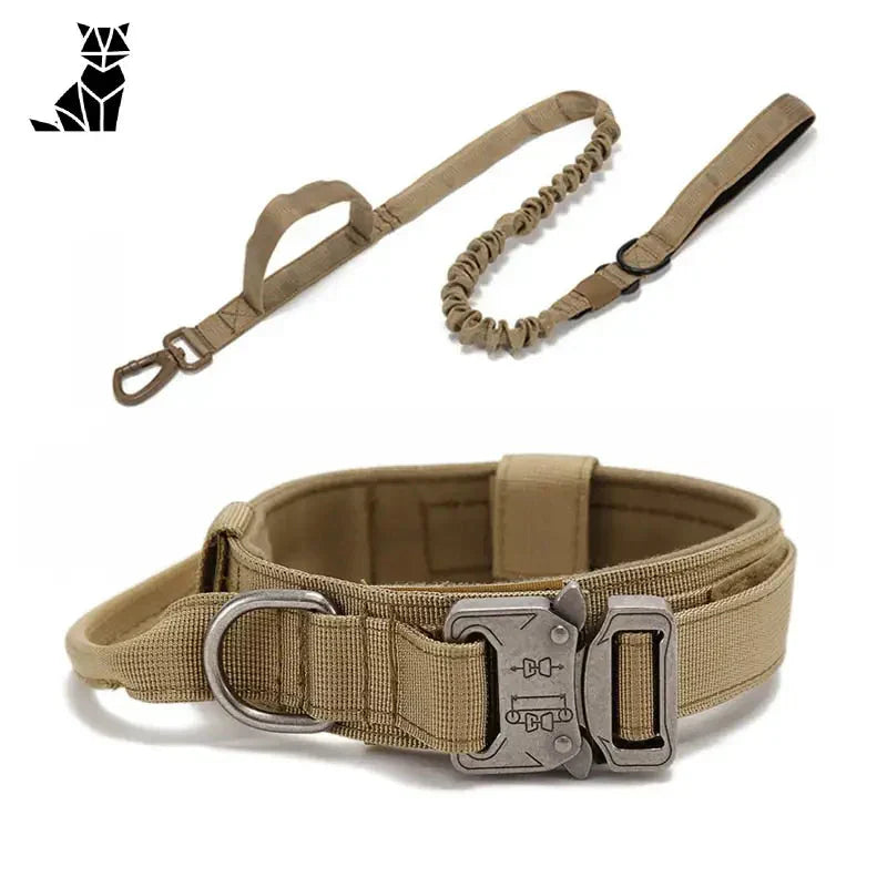 Collier pour Malinois