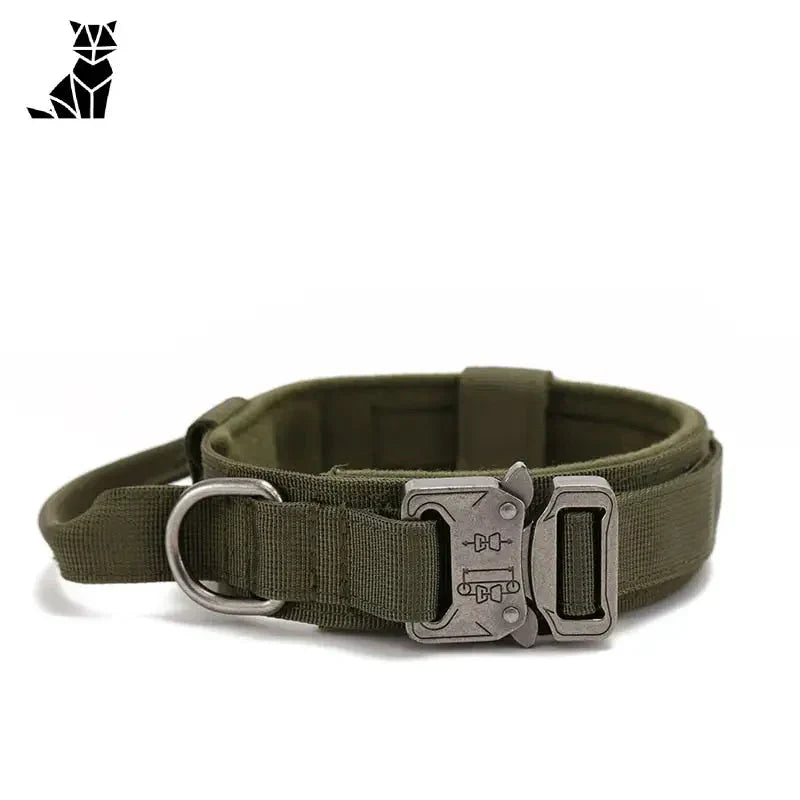 Collier pour Malinois