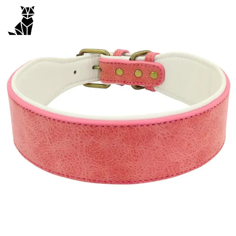 Collier Grands Et Moyens Chiens En Cuir