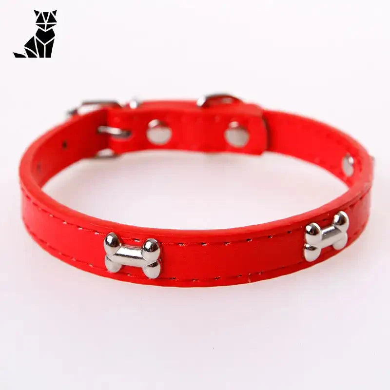 Collier pour Beagle