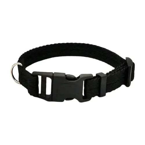 Collier pour Dobermann Transparent Background