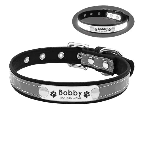 Collier pour chien et chat lumineux Transparent Background