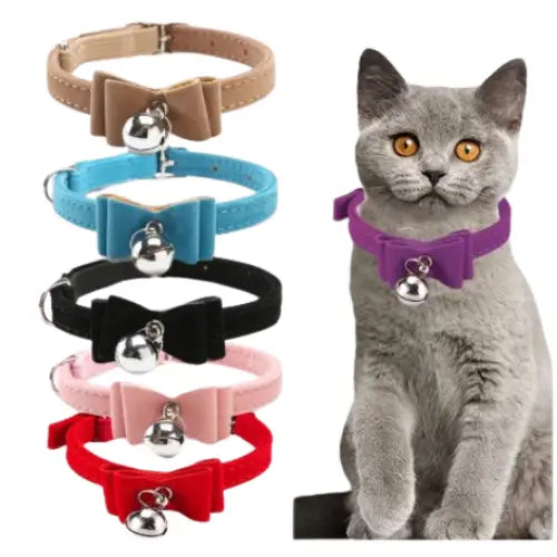 Collier nœud papillon pour chat Transparent Background