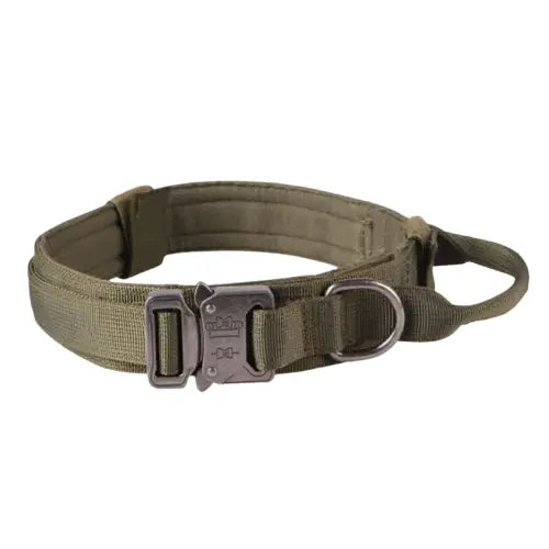 Collier tactique pour chien Transparent Background