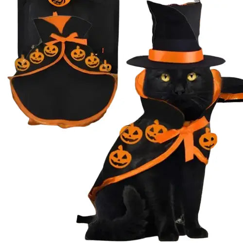 Adorable chat en costume de sorcière près de la cheminée - Parfait pour Halloween - Costume effrayant pour chats Transparent Background