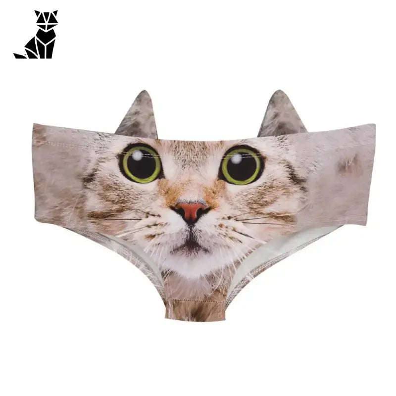 Culotte Chat Jolies Pour Les Amoureuses Des Félins - Chat Brun