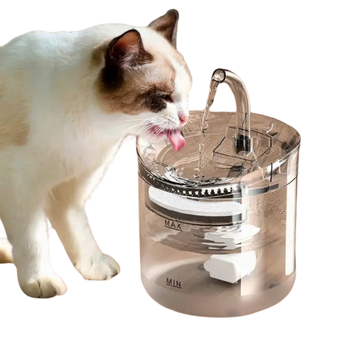 Fontaine à eau pour chat | AquaMiaou™ Transparent Background