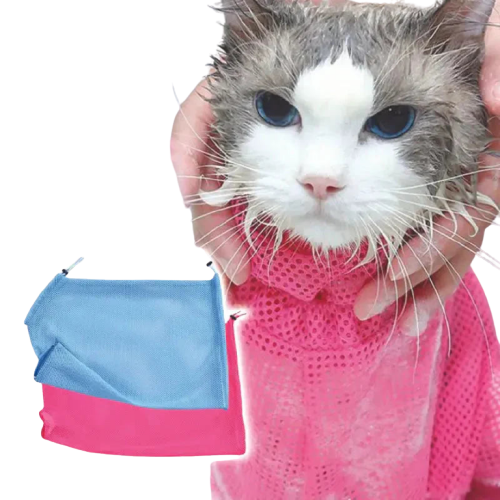 Adorable chat portant un pull rose et un sac bleu dans un filet de bain pour chat, parfait pour les soins des animaux de compagnie Transparent Background