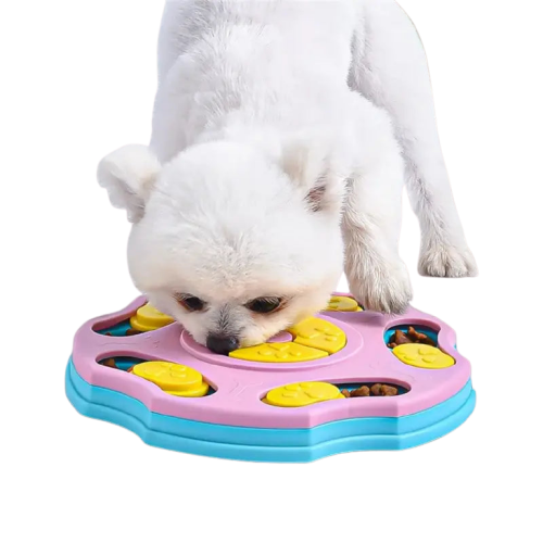 Chien dégustant un repas dans une gamelle puzzle, favorisant la stimulation mentale Transparent Background