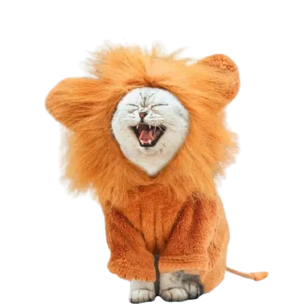 Chapeau pour Chat Lion Intégral Transparent Background