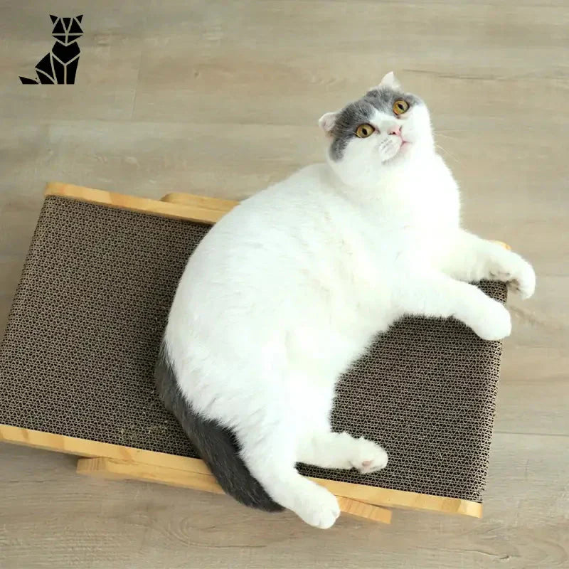 Chat couché sur un tapis en bois, griffoir pour chat : Indispensable pour satisfaire son besoin naturel