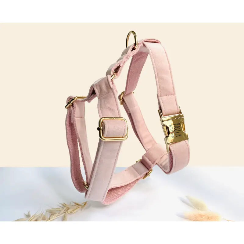 Harnais Chien Personnalisé Velours Rose