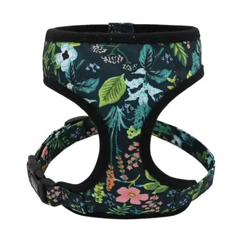 Harnais pour Teckel Transparent Background