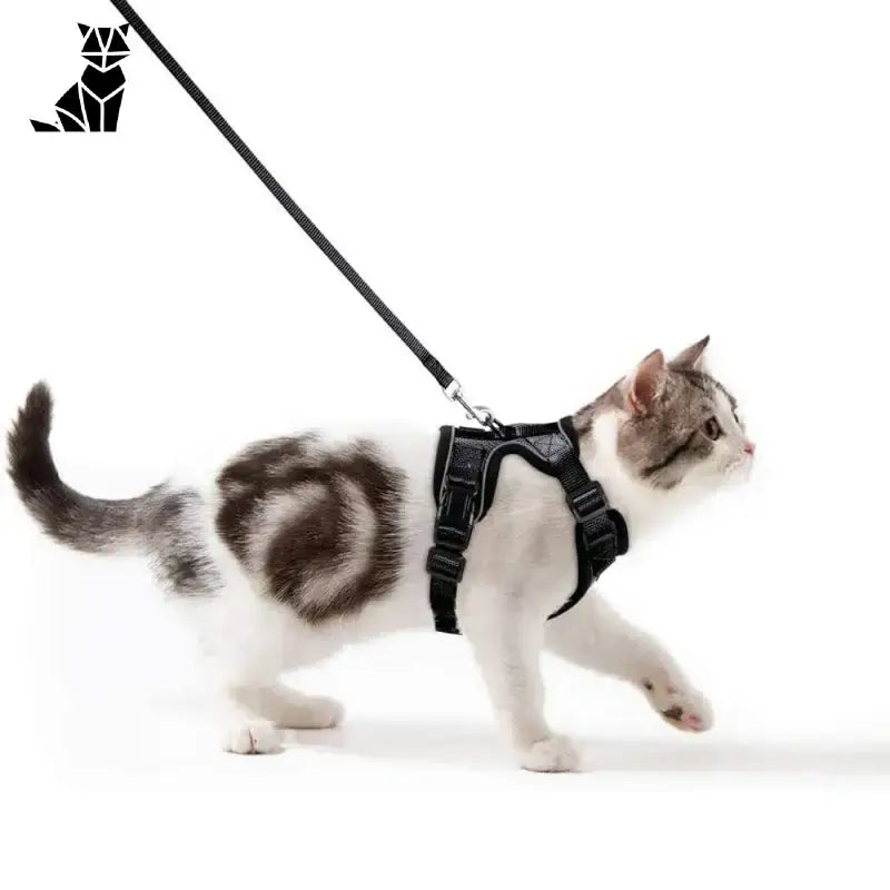 Harnais Pour Chaton Petzeal: Belles Promenades En Petite Taille