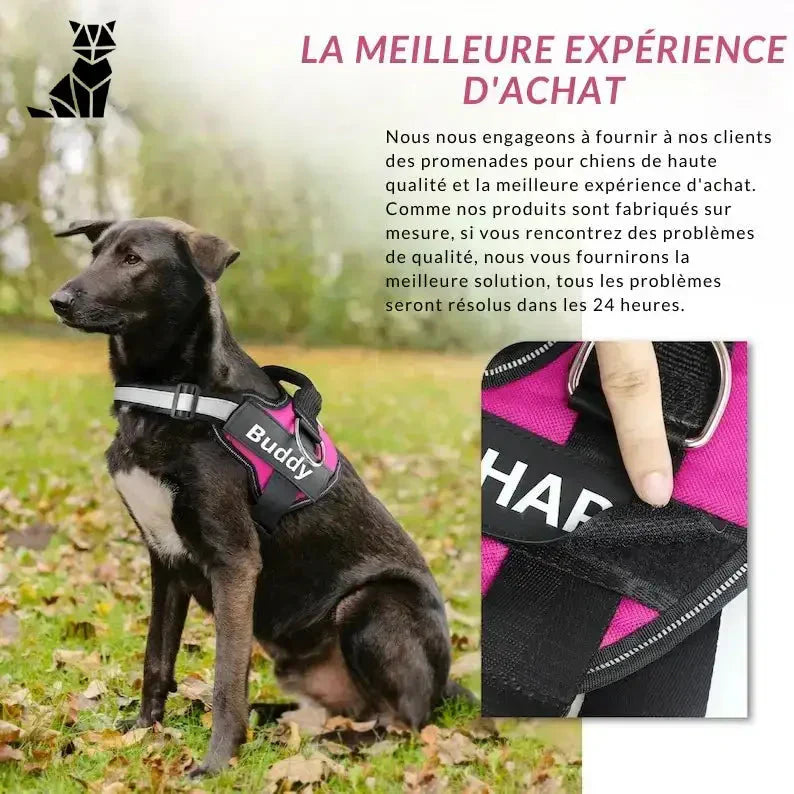 Harnais rose pour chien personnalisé avec le motif ’la ellexpere’