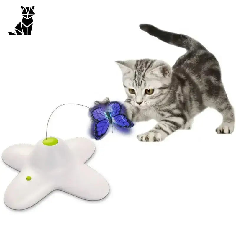 Jeu Papillon Interactif Pour Chats: Divertissement Et Stimulation!