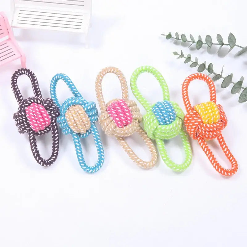 Set de quatre élastiques à cheveux colorés avec fleur dans le jouet interactif chien