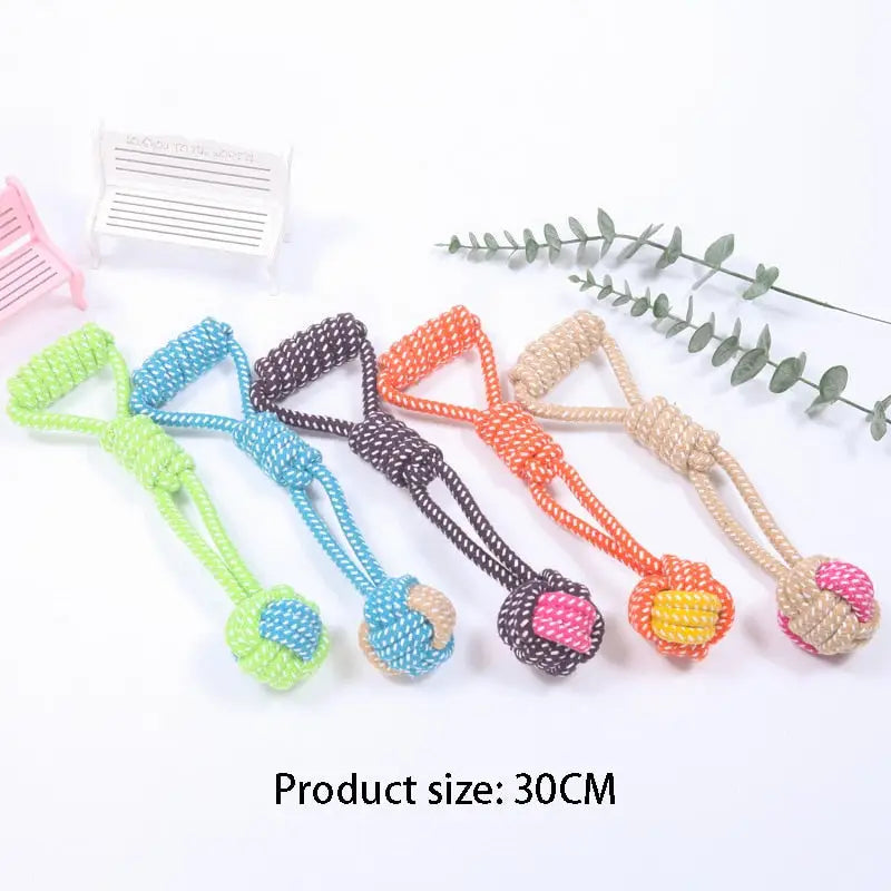 Jouet de corde interactif pour chien - Jouets de corde colorés sur fond blanc pour Chien