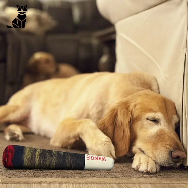 Chien appréciant un jouet à mâcher jouet cigare avec couinement tout en se reposant à côté du canapé